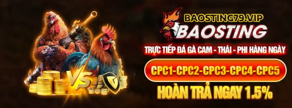 TRỰC TIẾP ĐÁ GÀ BAOSTING