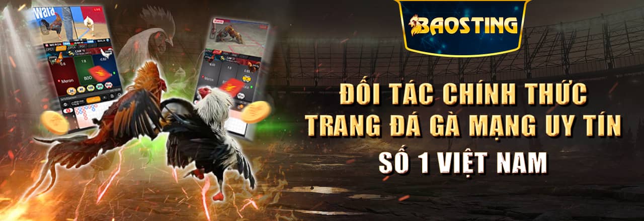 trại gà BAOSTING 